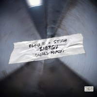 Flava D - Energy ft. Stush (Napes Remix) artwork