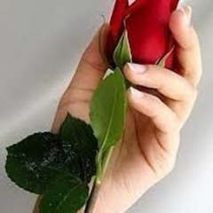 roses in my Hands.mp3