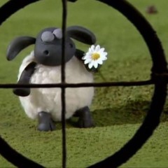 a hunting accident