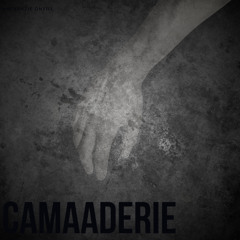Camaraderie