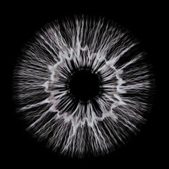 CAMELPHAT x KÖLSCH - WASTE MY TIME (UNRELEASED)