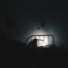 Sleepwalker (Cover)