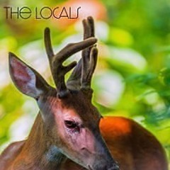 The Locals