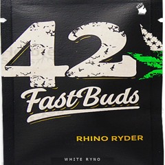 Rhino Ryder (Unmastered)