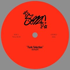 Funk Selection Vol.1