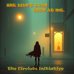 She Didn't Even Look at Me