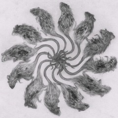 CTRL+r4ts ~ [ rexmix 05 ]