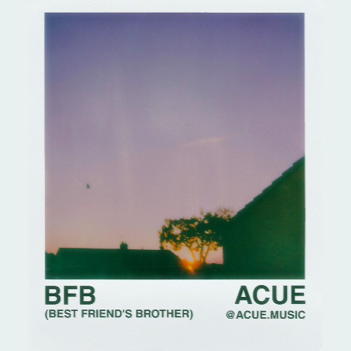 Victoria Justice - Best Friend's Brother (BFB) [Acue Remix]