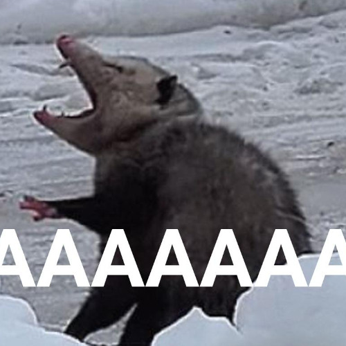 AAAAAAAA (beat / instrumental)