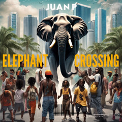 Juan P ft Edwin Raphael - elephant crossing