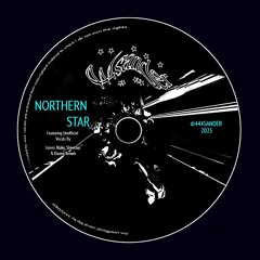 NORTHERN STAR (James Blake, Slowthai & Danny Brown - Vocal Flip)