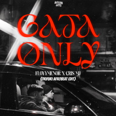 Gata Only (ORIFURI Afrobeat Edit) Filtered