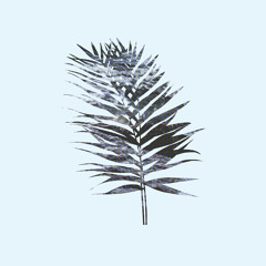 Morning Light on Cold Coffee