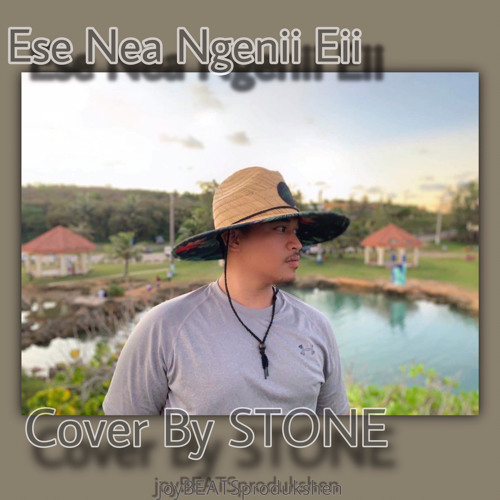 ESE NEA NGENI EI COVER BY STONE