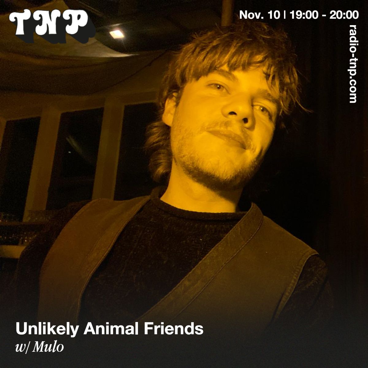 Unlikely Animal Friends w/ Mulo