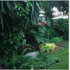 Comfortable Retreat Surrounded by Luscious Gardens (1)