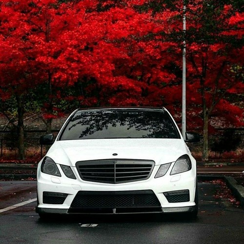 Wallem - Харизма 🫥