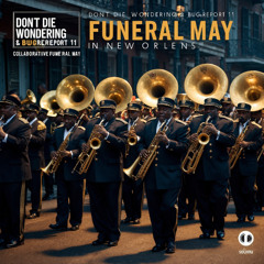 FUNERAL MAY extended - DDW - Bugreport.11