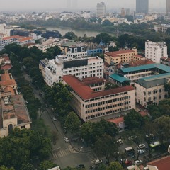 Truffle & Morning glory