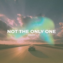 NOT THE ONLY ONE