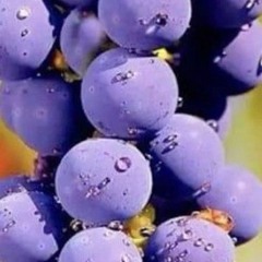 FastBuck Raving Techno 2