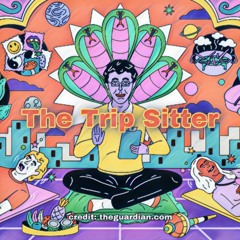 The Trip Sitter ( Psytrance Mix )