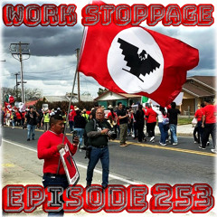 Ep 253 - Hands Off Palestine!