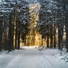 In the Bleak Midwinter