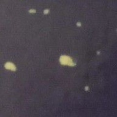 Entre vent et marée - Noh4ine.mp3