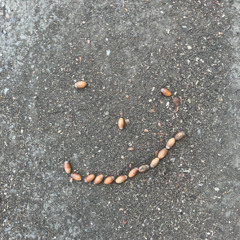 different stream vol. 2