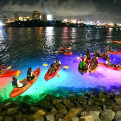Review Special Price Puerto Rico Night Kayaking Guided Tour In Condado Lagoon