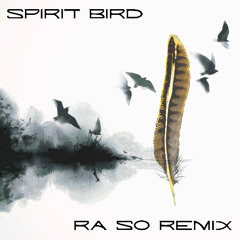 Spirit Bird by Xavier Rudd (Ra So Remix)