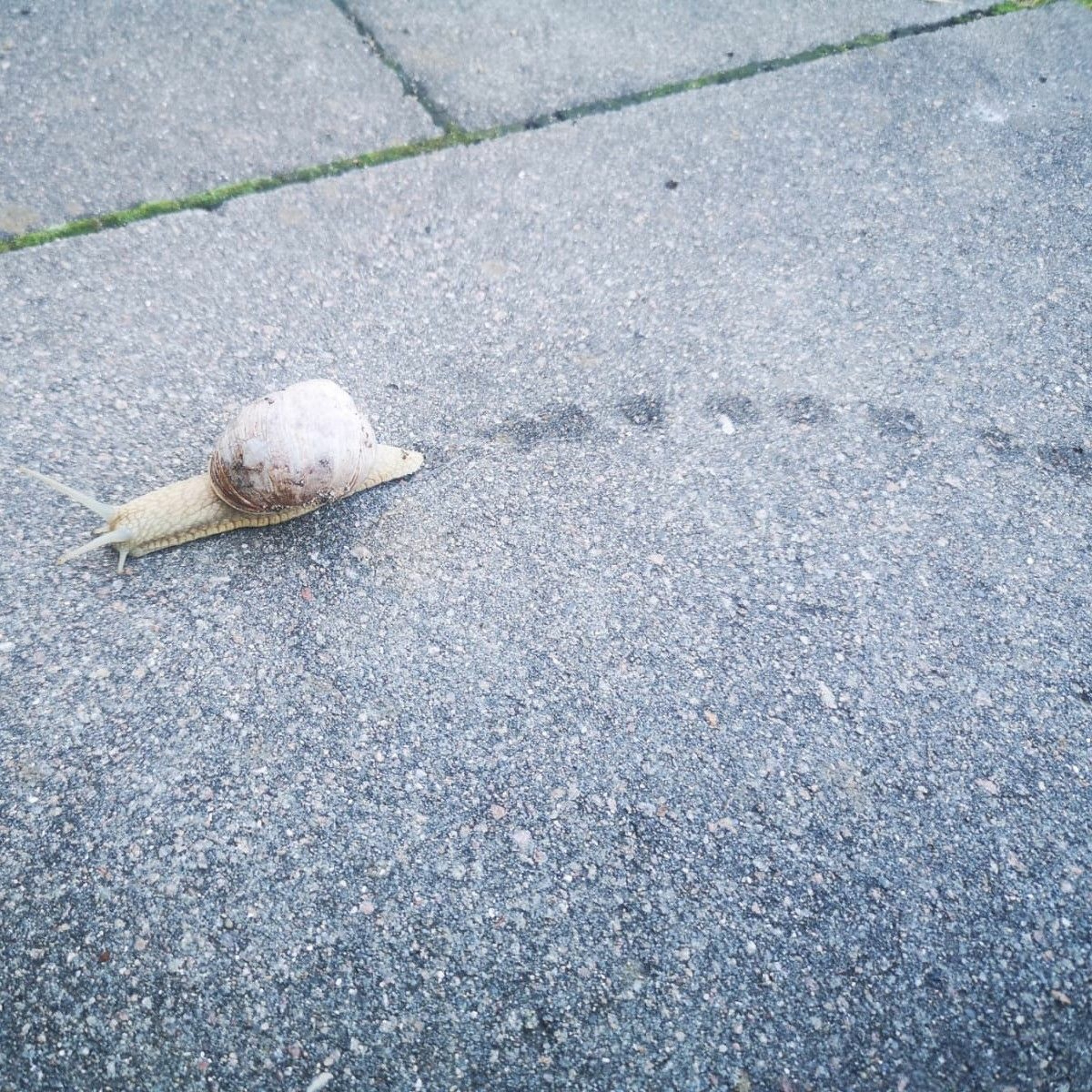 Richy Hortkind