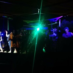 NY party