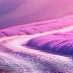 Life Meanders