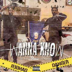 Wanna Know Ft Ron Dinno