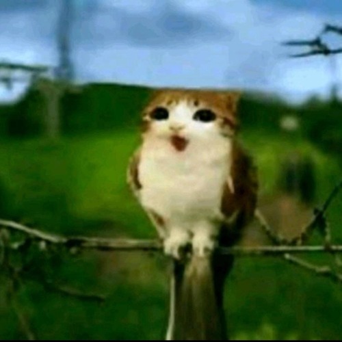 Montagem Ensurdecedora by DJ JDL(Slowed + Wasted Sound)