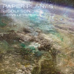 WOOLFSON x Harvs Le Toad - Paper Planes