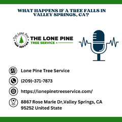 What Happens If a Tree Falls in Valley Springs, CA?