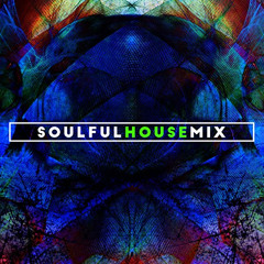 SOULFUL HOUSE - 2014