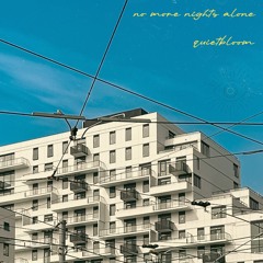 no more nights alone
