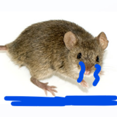 youre too late i lost the cheese