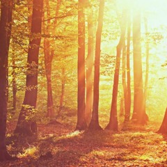 BassjunkieBassklarinette background sound (FREE DOWNLOAD)
