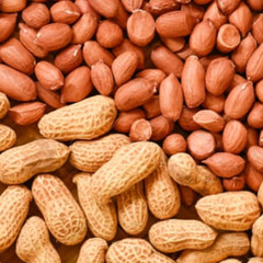 Just Peanuts