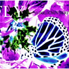 Fly Like A Butterfly (Riley remix)