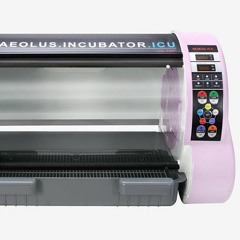 Inside incubator