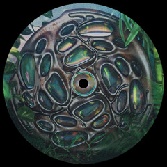 [PREMIERE] The Message - Shjva | Neptune Discs [2025]