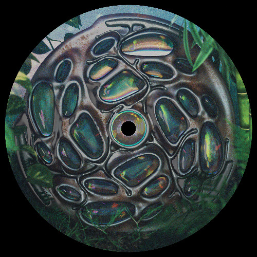 [PREMIERE] The Message - Shjva | Neptune Discs [2025]