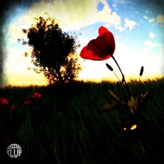 Az Egyetlen Virágom (Prod. uncseh)