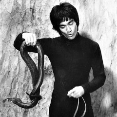 Bruce Lee Jawn @YahLee @WoahLee